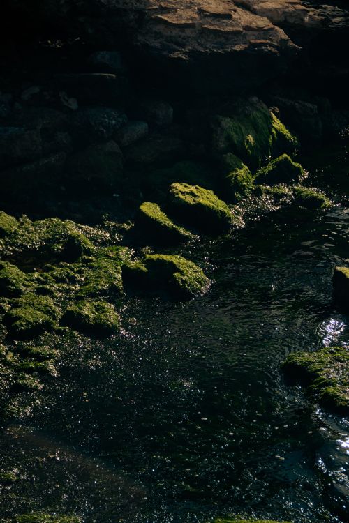 Free Moss-covered rocks by a tranquil riverbank, illuminated by sunlight, creating a serene and earthy scene. Stock Photo