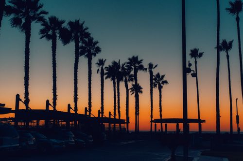 Free Silhouettes of palm trees and structures during a vibrant beach sunset, creating a tranquil scene. Stock Photo