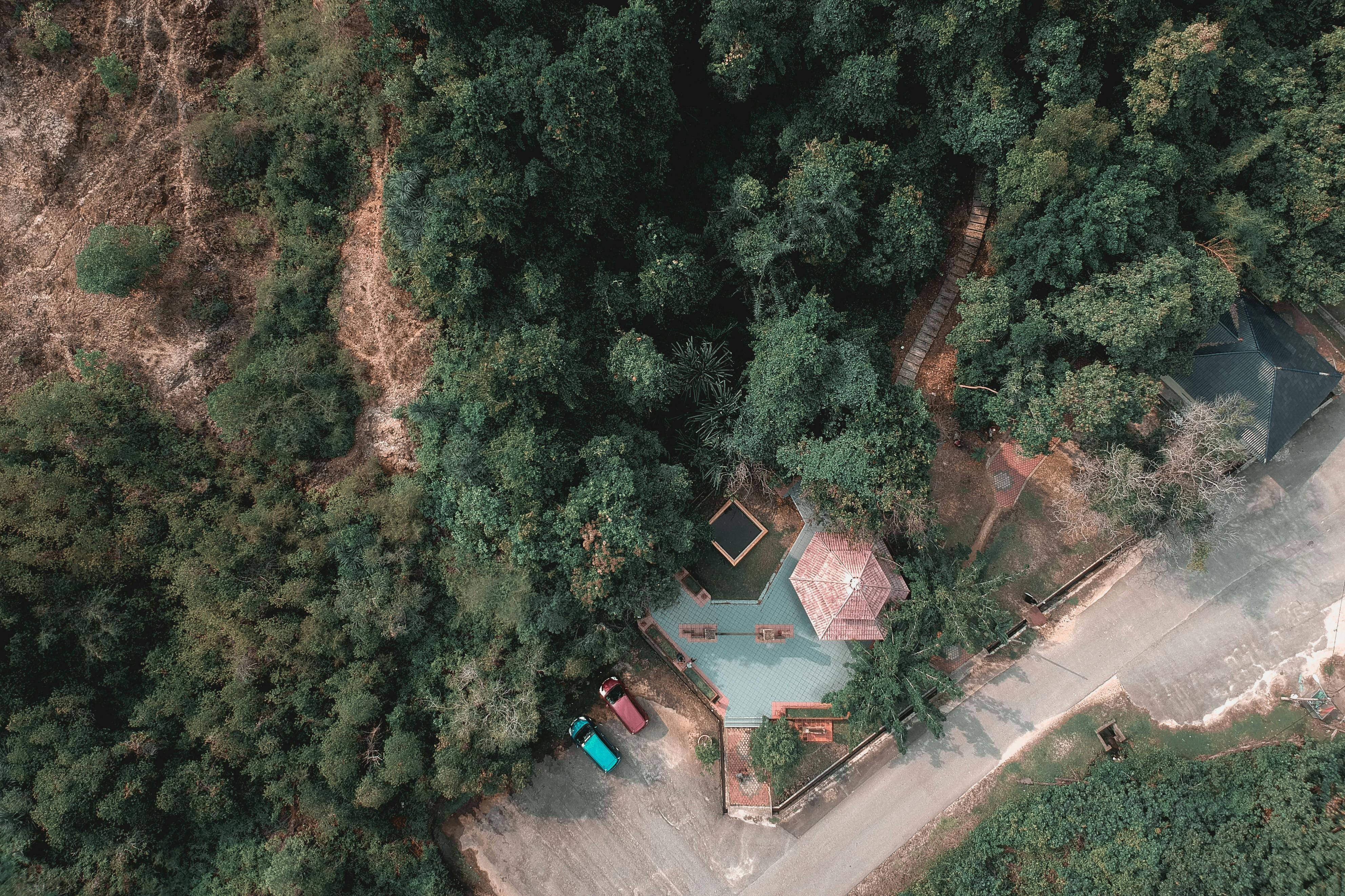 从高处俯瞰茂密的森林，建筑物和道路散布其中