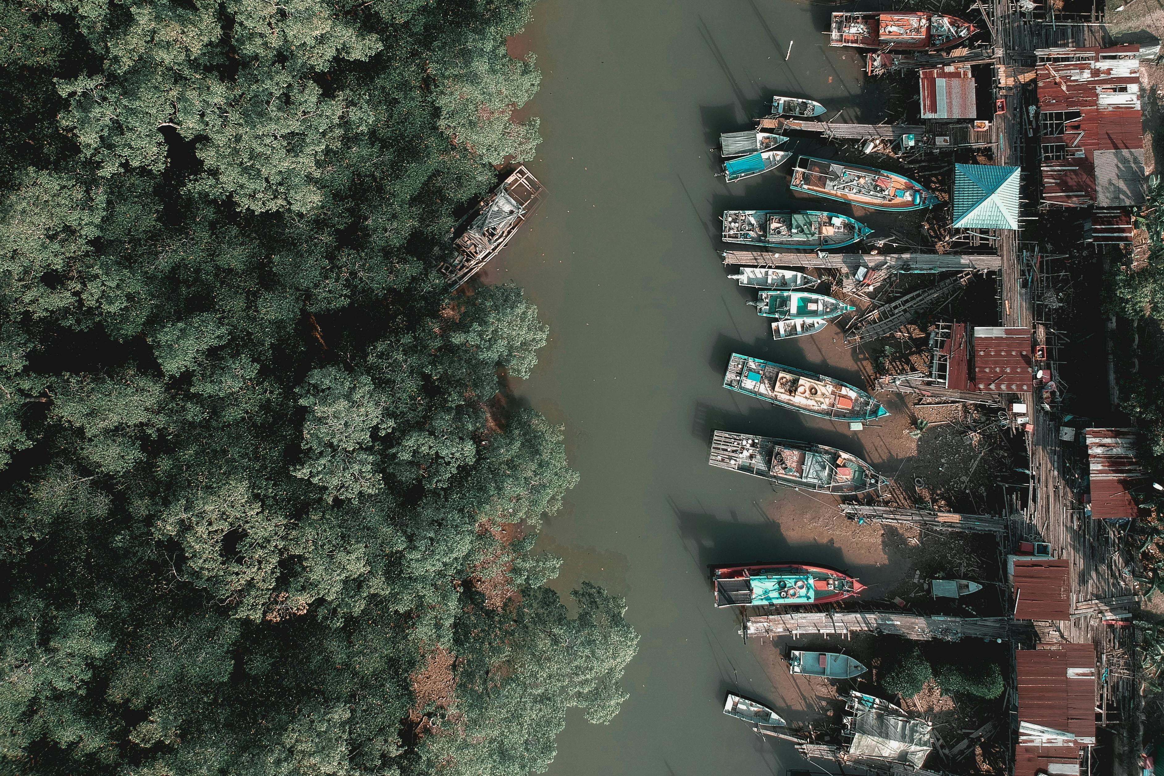 从空中俯瞰，渔船停泊在蜿蜒河流旁的茂密森林附近