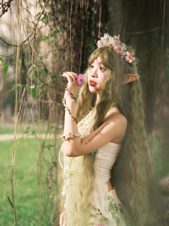 Enchanting Elf Woman in a Mystical Forest Setting · Free Stock Photo