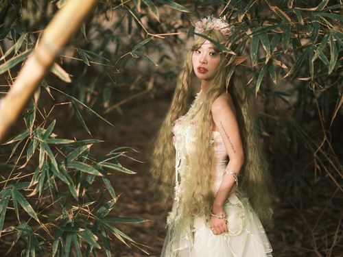 Free A mystical forest scene featuring an elf woman surrounded by bamboo, epitomizing fantasy and nature. Stock Photo