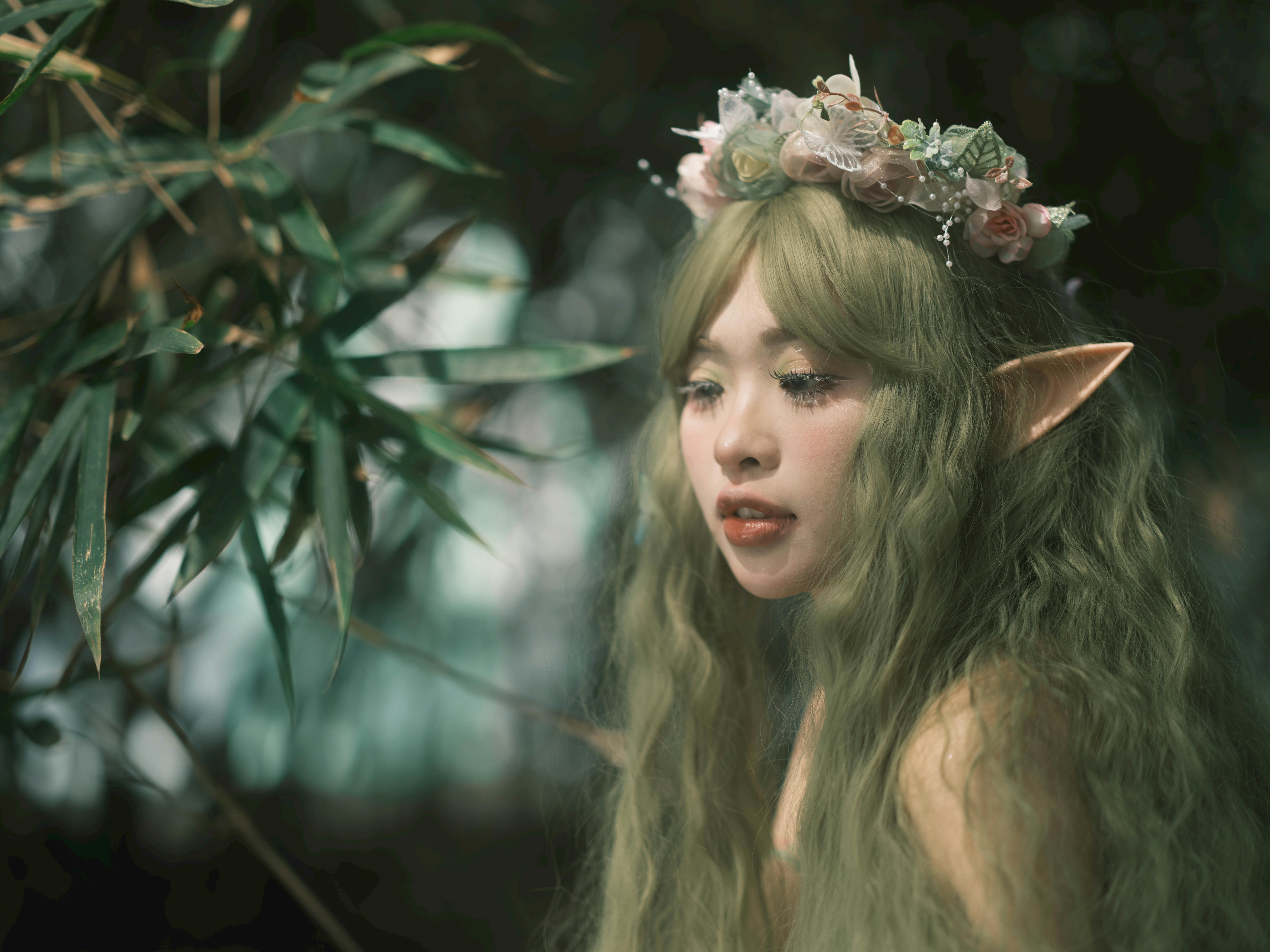 Mythical Creatures of the Celtic Lands: Legends and Lore