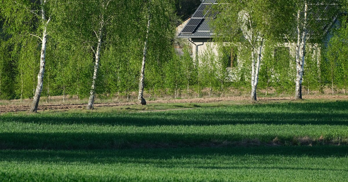 崑大機械所鄭琮諺、蕭涵憶攜手研究再生能源,實作成果助力永續發展