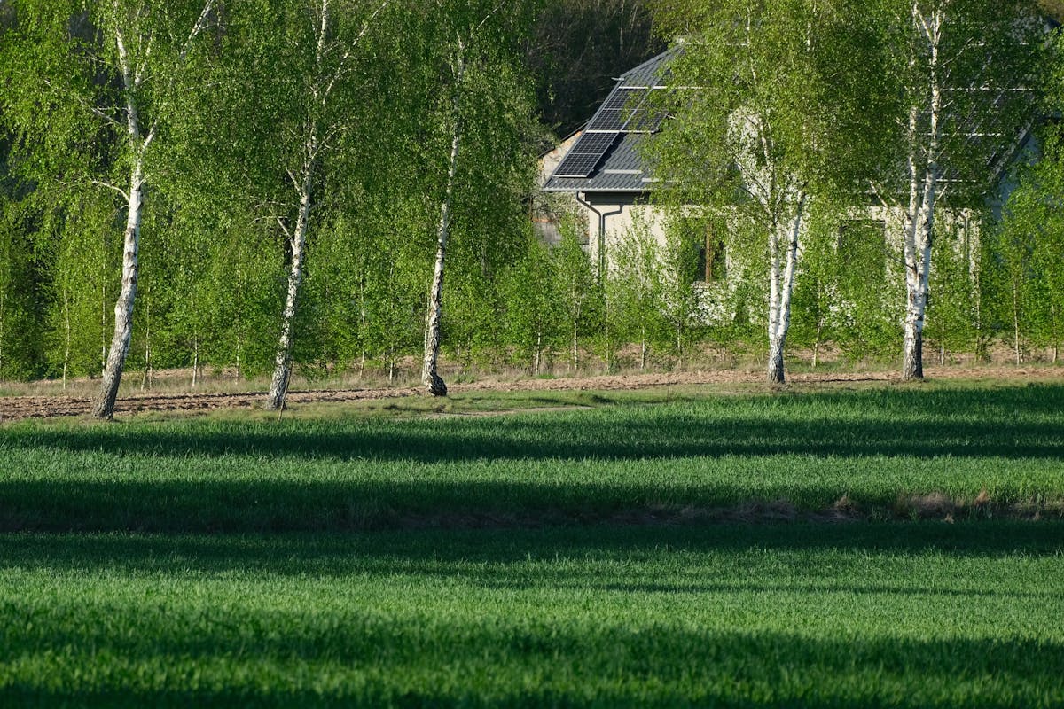 Panneaux solaires sur un toit au Portugal