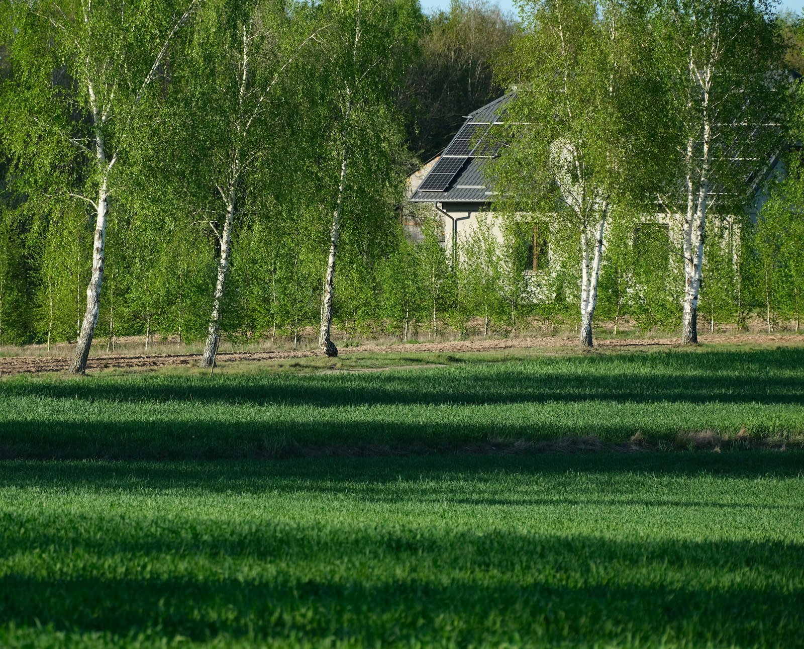 Rénovation énergétique : priorités & aides 2025