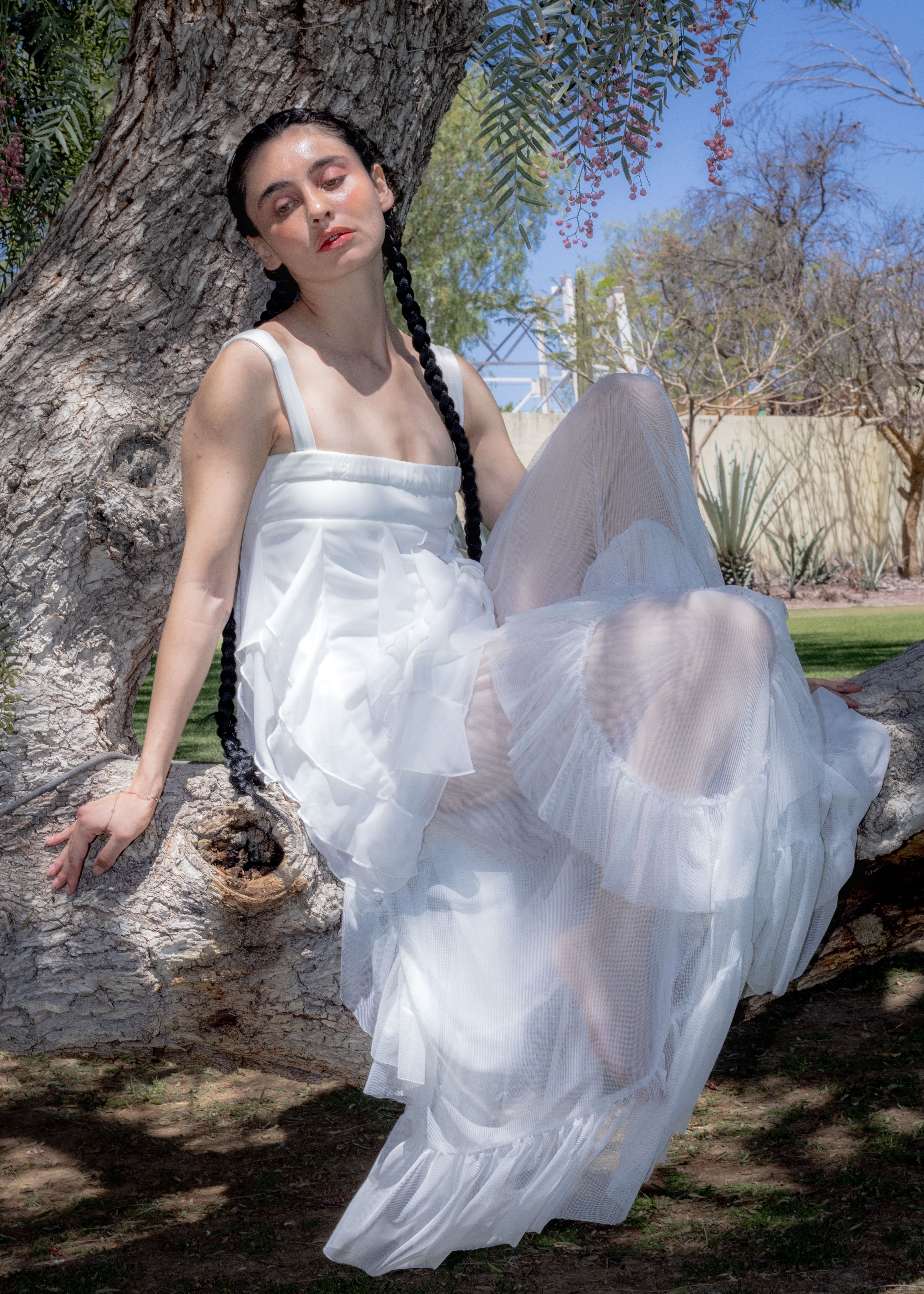 Elegant Woman in White Dress Relaxing on a Tree · Free Stock Photo