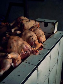 Turkey, Light Meat, Skin Eaten