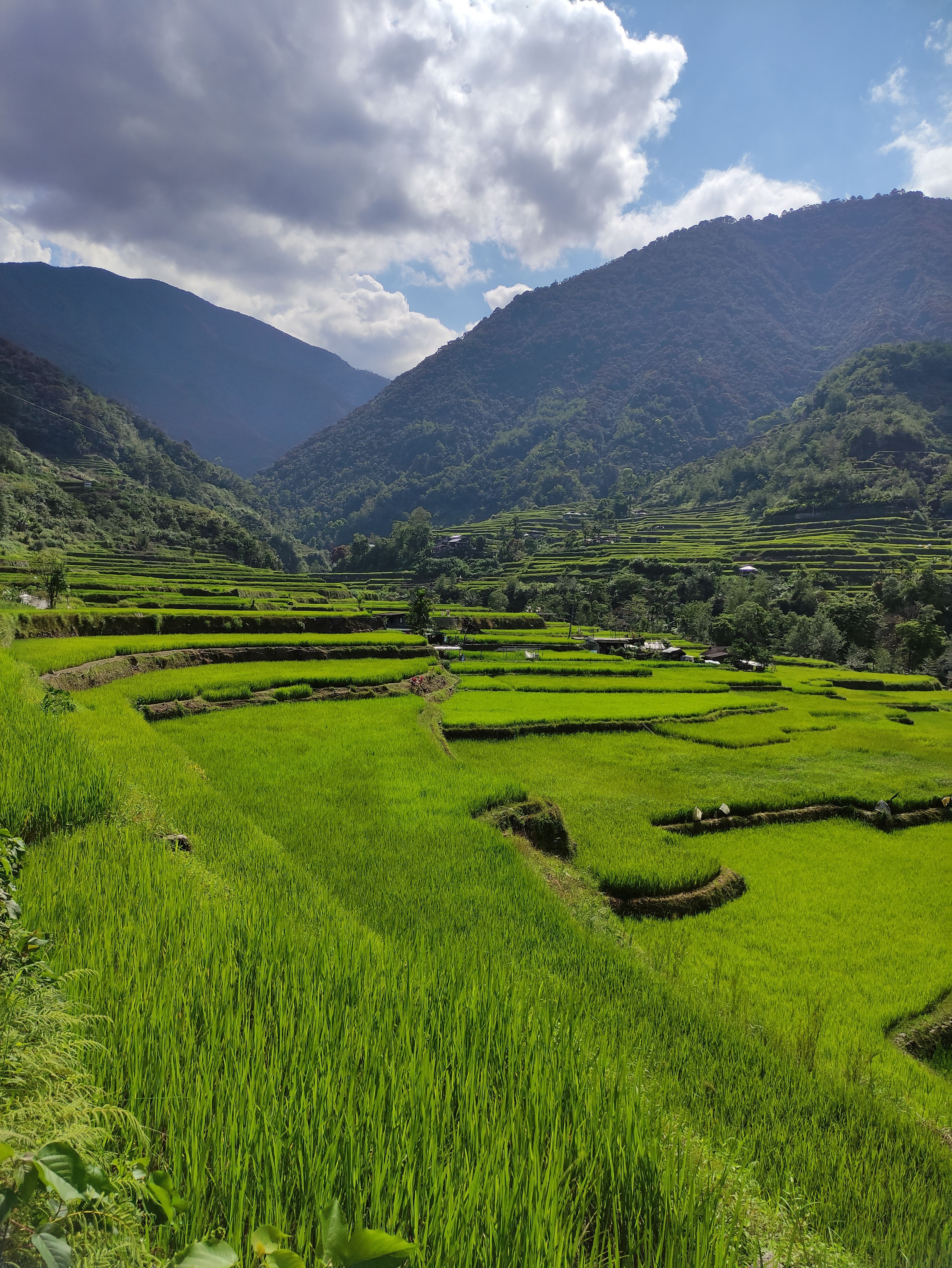 Banaue Sagada Baguio Tour