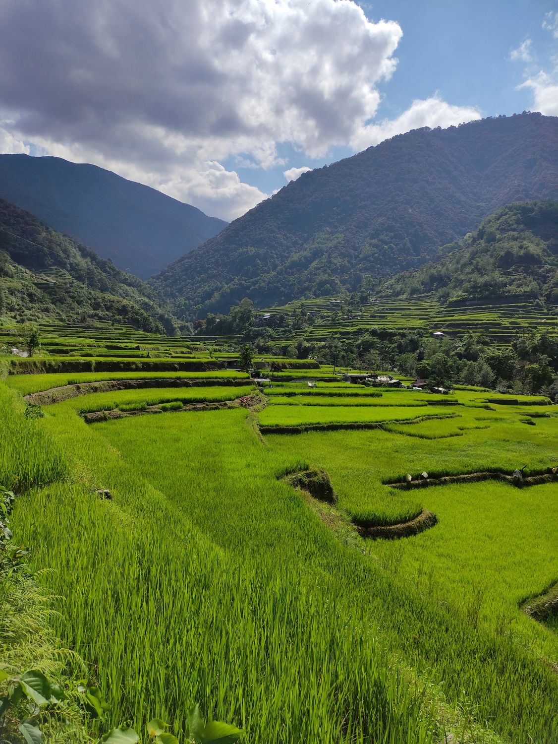 Kabukiran Rice Lush Green Rice Terraces in Philippine Mountains · Free Stock Photo