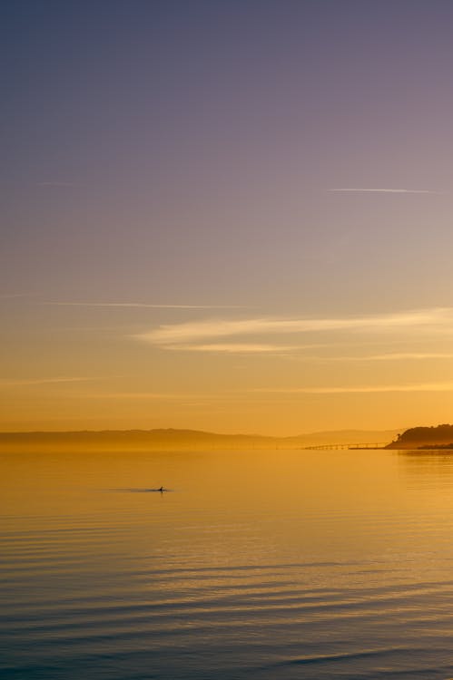 Ilmainen kuvapankkikuva tunnisteilla aamu, auringonlasku, aurinko