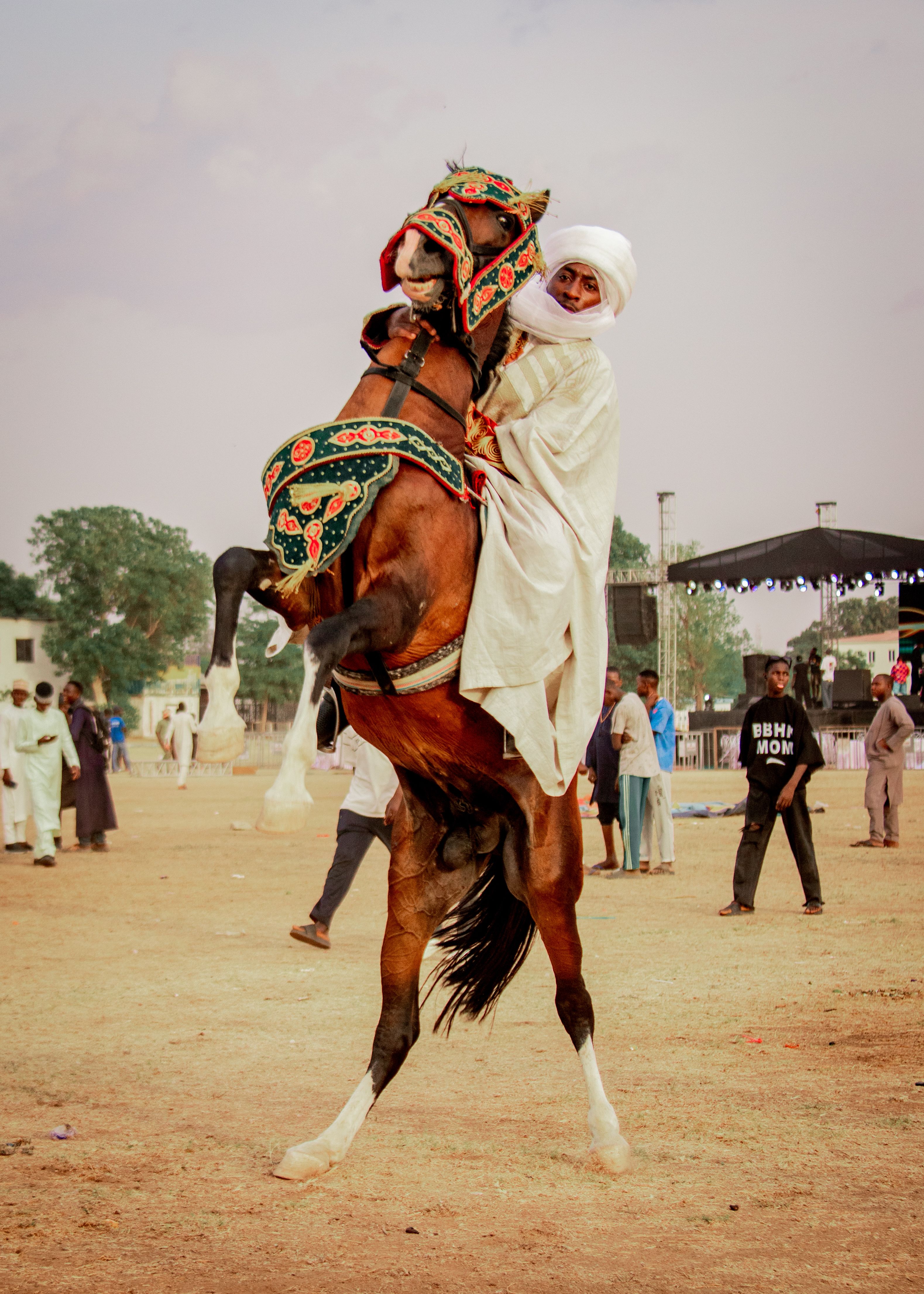 Traditional Nigerian Horse Riding Festival · Free Stock Photo