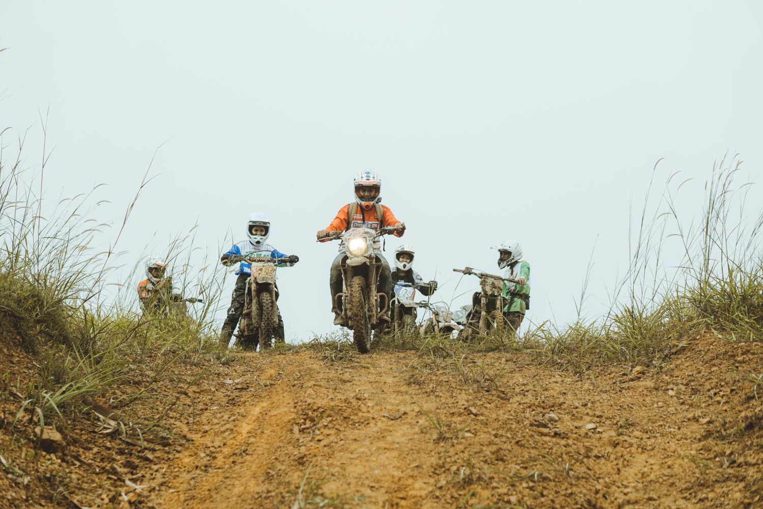 Riders in the forest