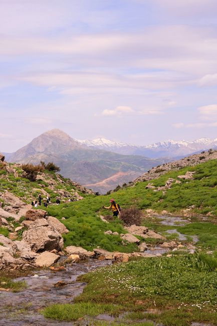 Explore the picturesque landscapes of Sirvan, Türkiye showcasing lush greenery and towering mountains.