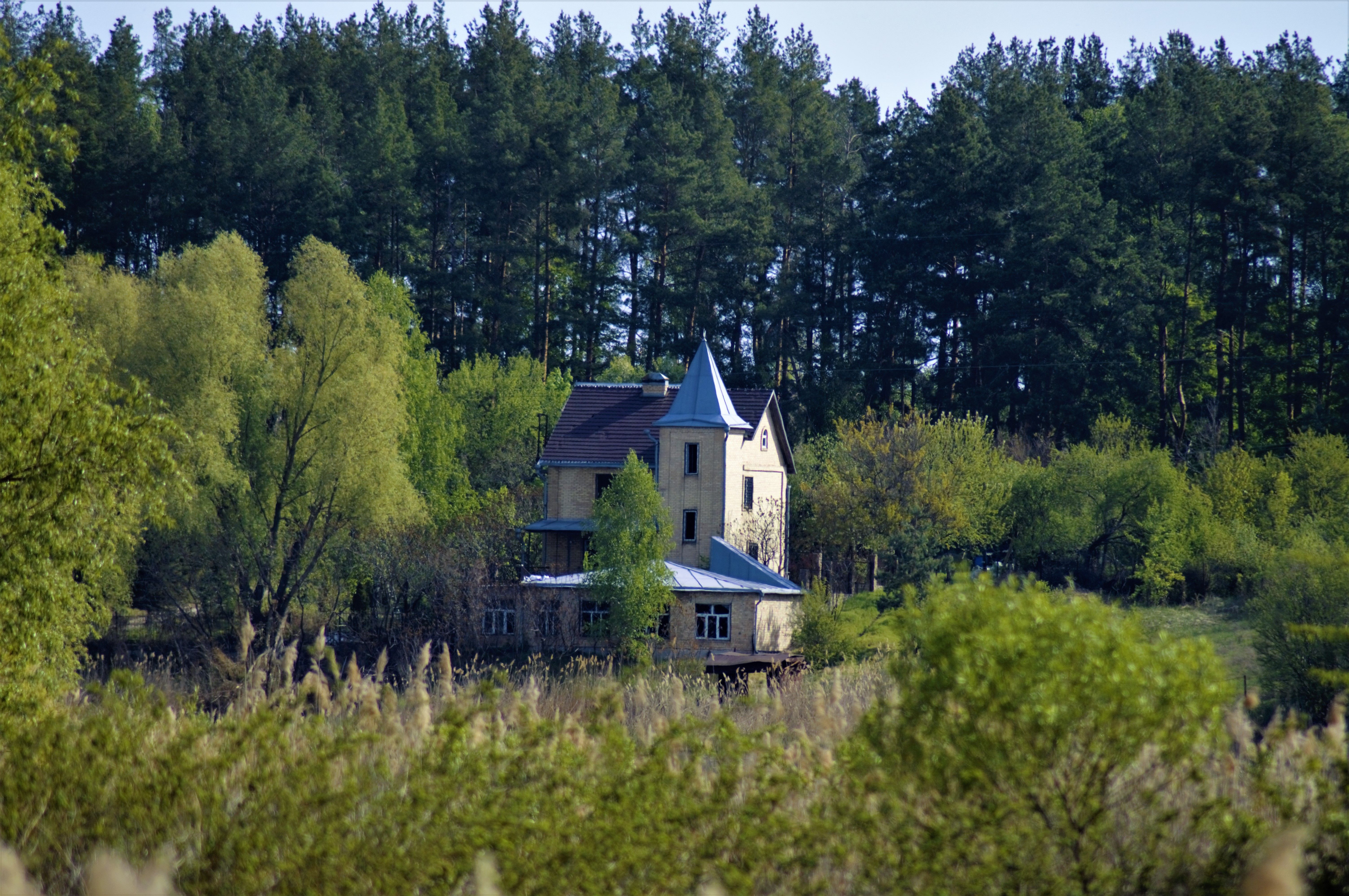 Charming Countryside House in Spring Forest · Free Stock Photo