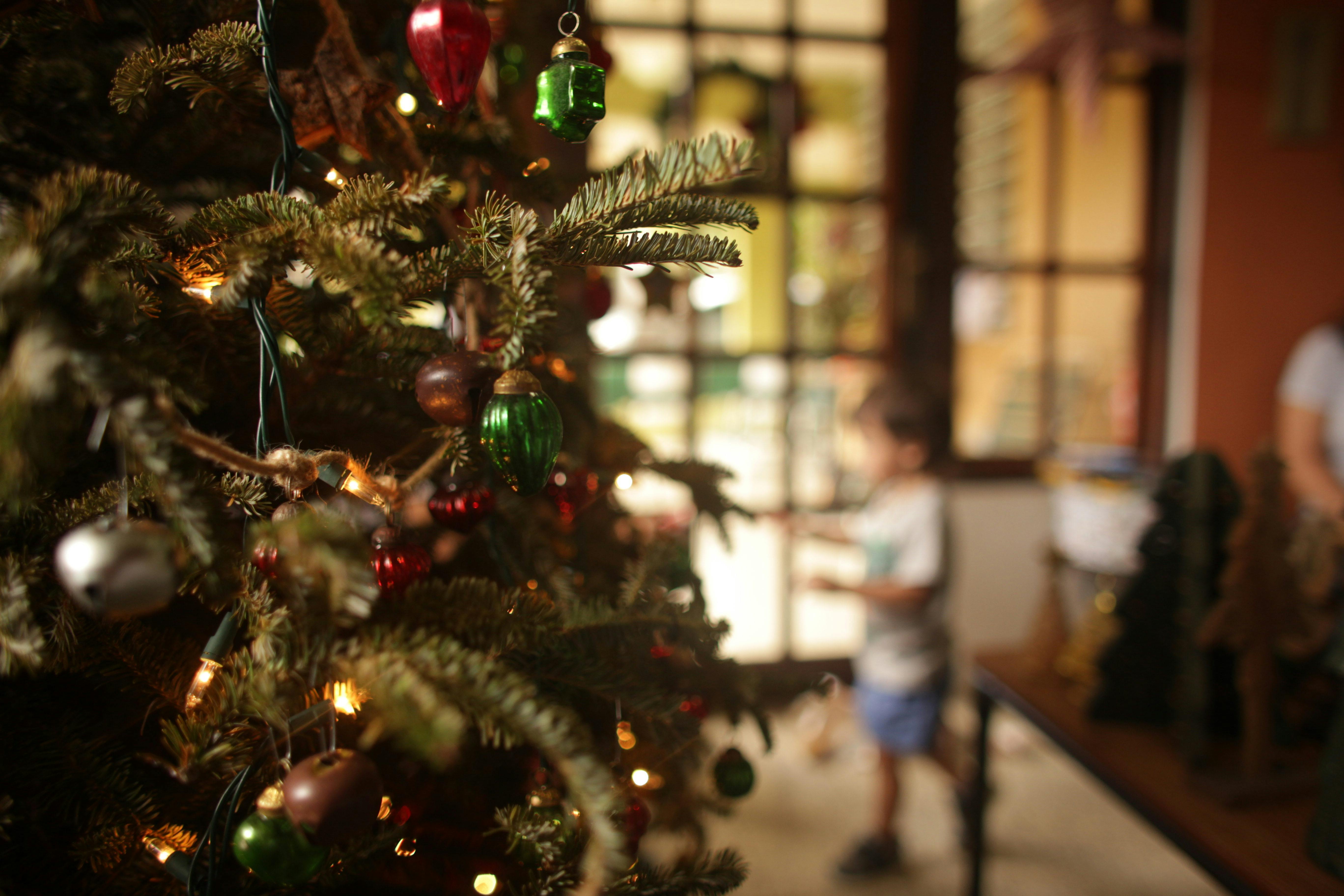 selective focus photography of christmas tree near boy