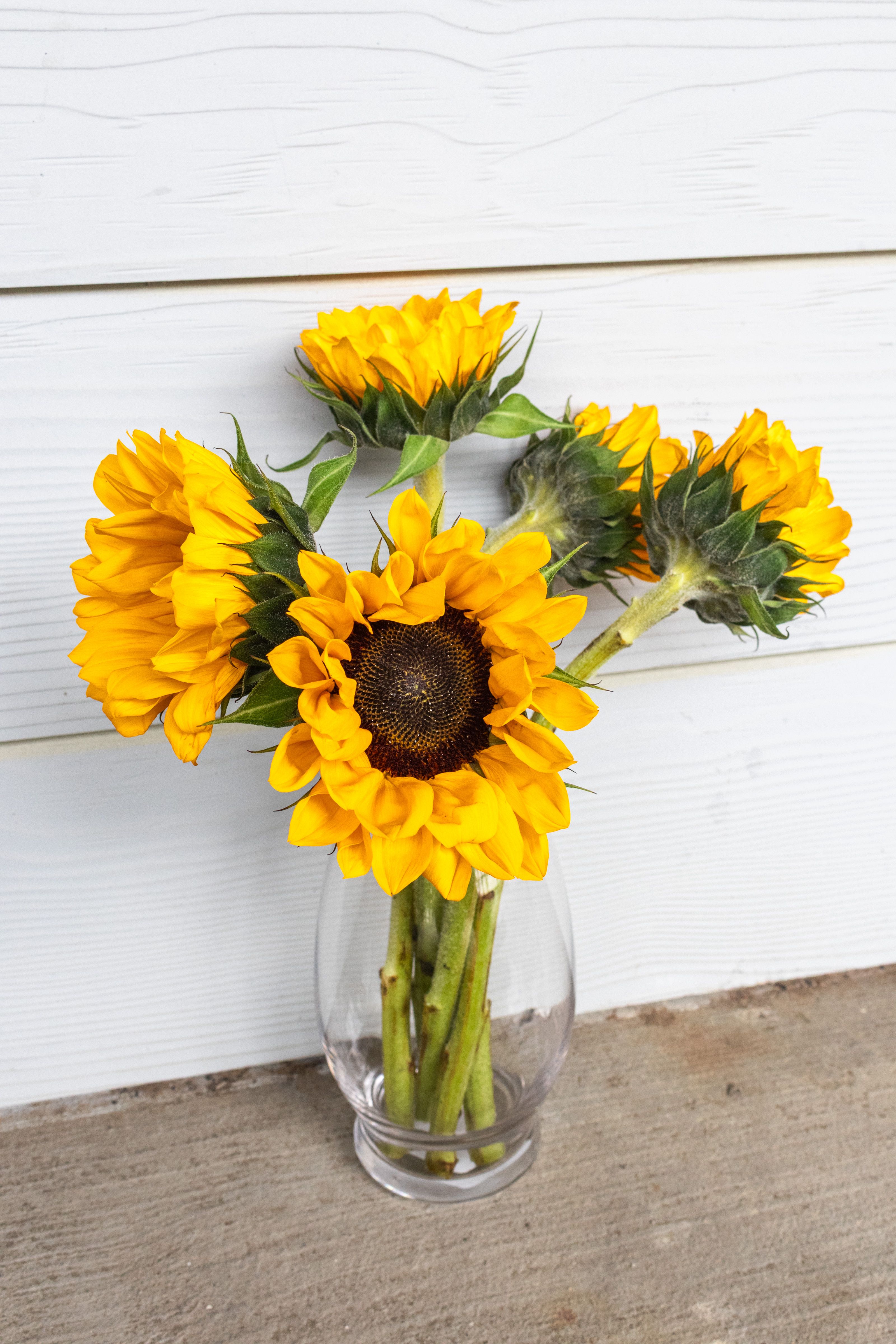 Bright Sunflowers in a Clear Glass Vase · Free Stock Photo