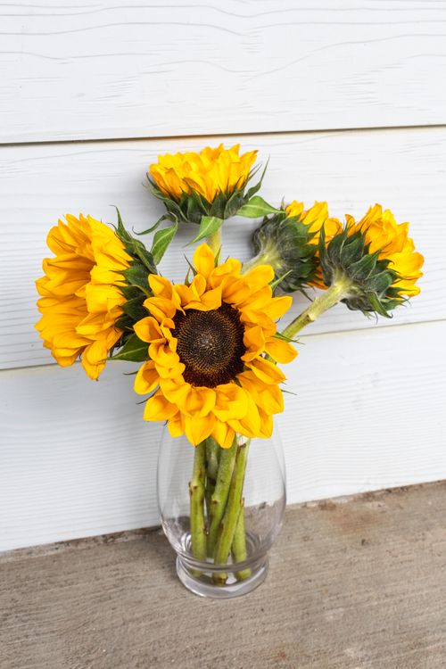 Bright Sunflowers in a Clear Glass Vase · Free Stock Photo