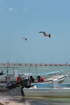 Fishing boats docked at Chicxulub Beach, Yucatán, with seagulls soaring overhead on a sunny day.