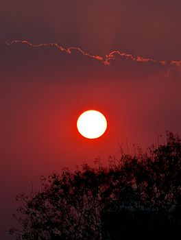 Stunning sunset with a vibrant red sky and silhouetted tree branches capturing a serene evening.