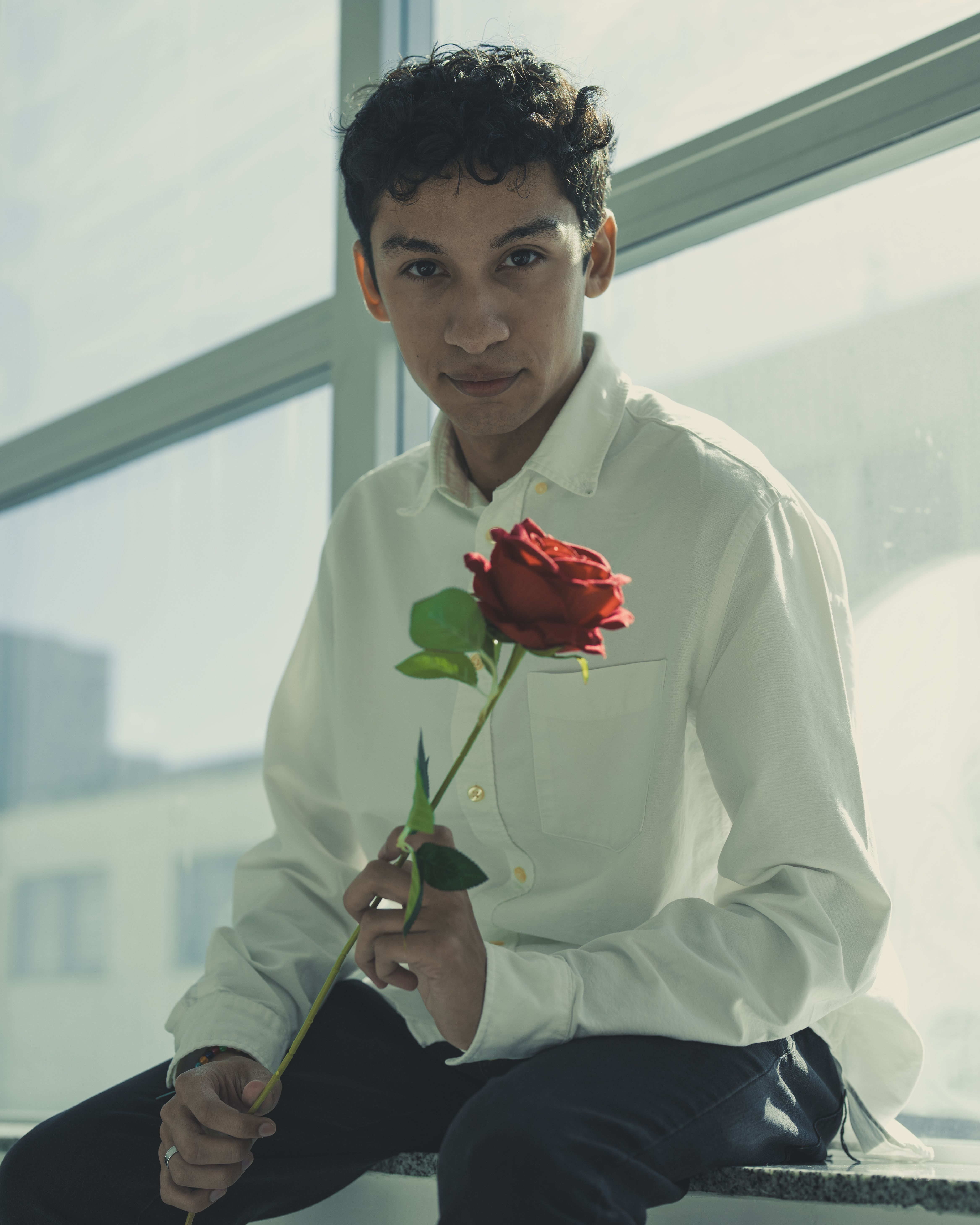 Man in white shirt holding a red rose, sitting by a sunlit window indoors.