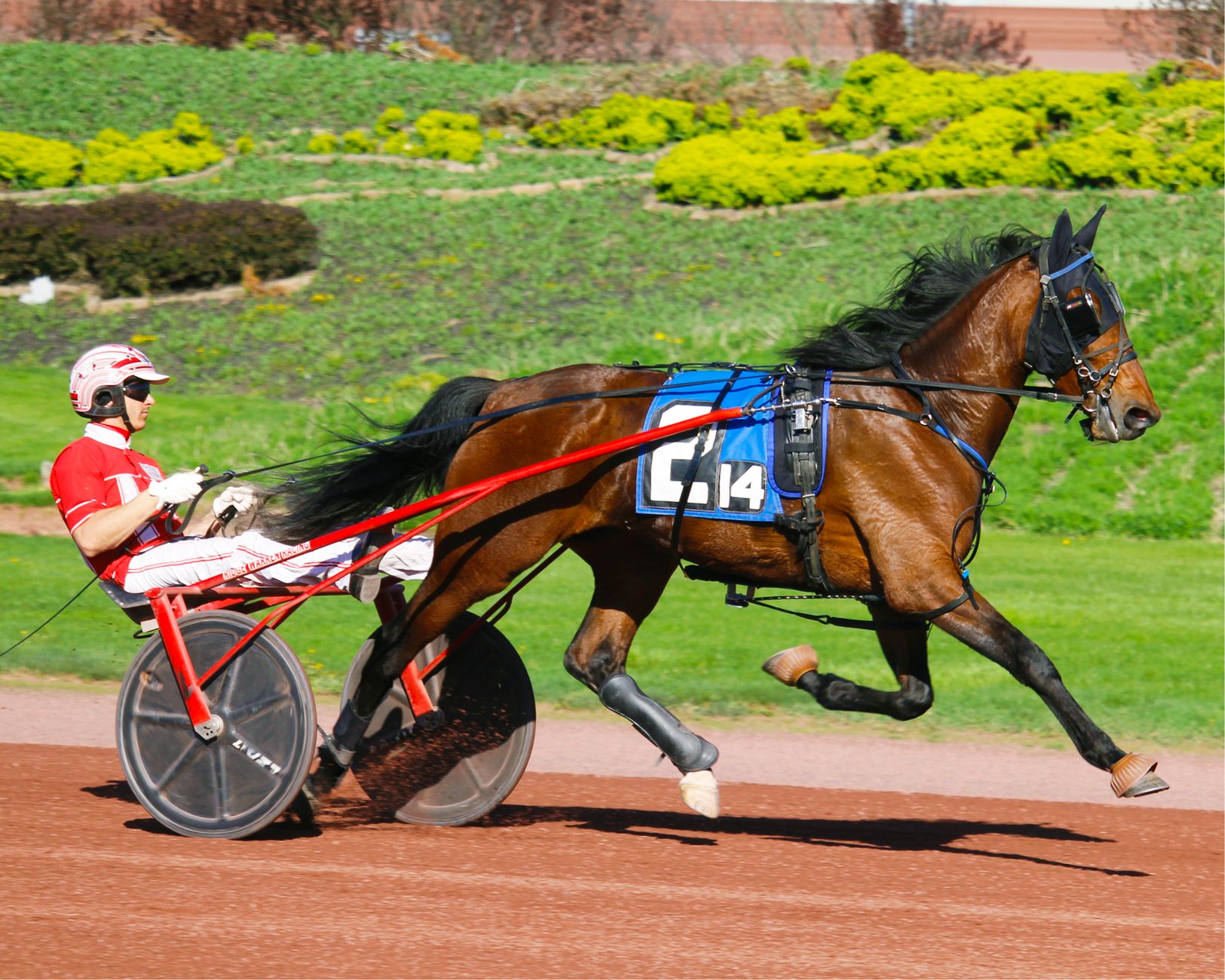 Ethan Thornton's Mach is betting on chaos — and it might win