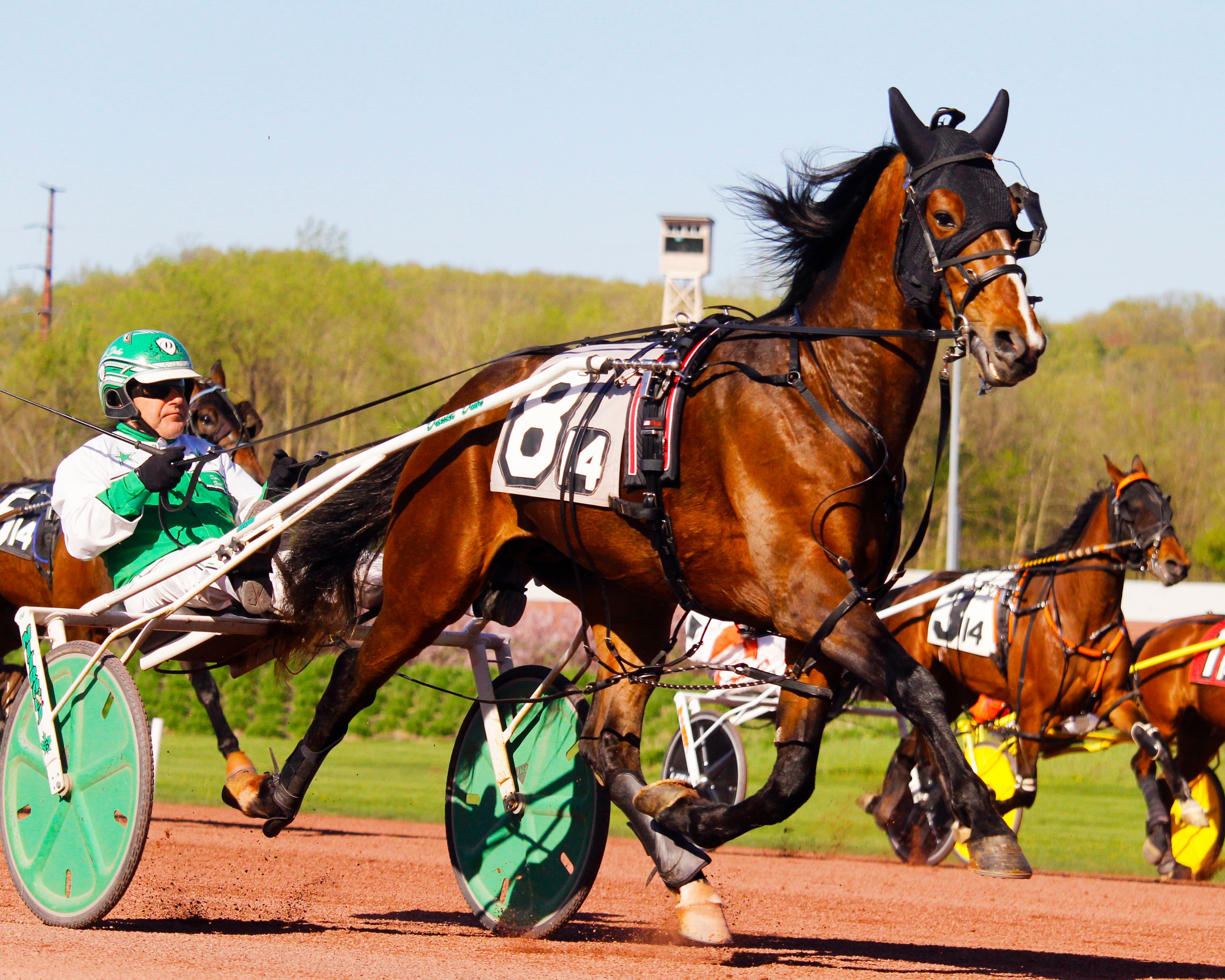 Exciting Horse Racing Event with Jockeys on Track · Free Stock Photo