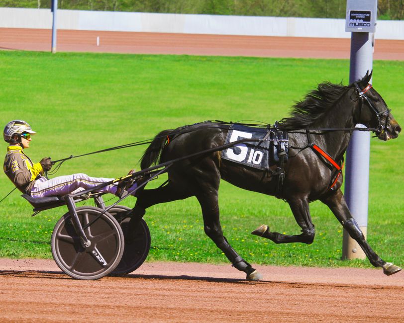 Sports betting as a driver of performance, entertainment, technology, and personal development