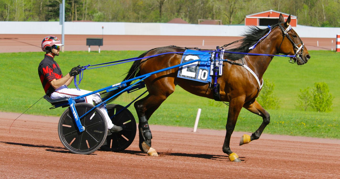 Cheval de trot attelé en pleine course avec son driver concentré sur le sulky