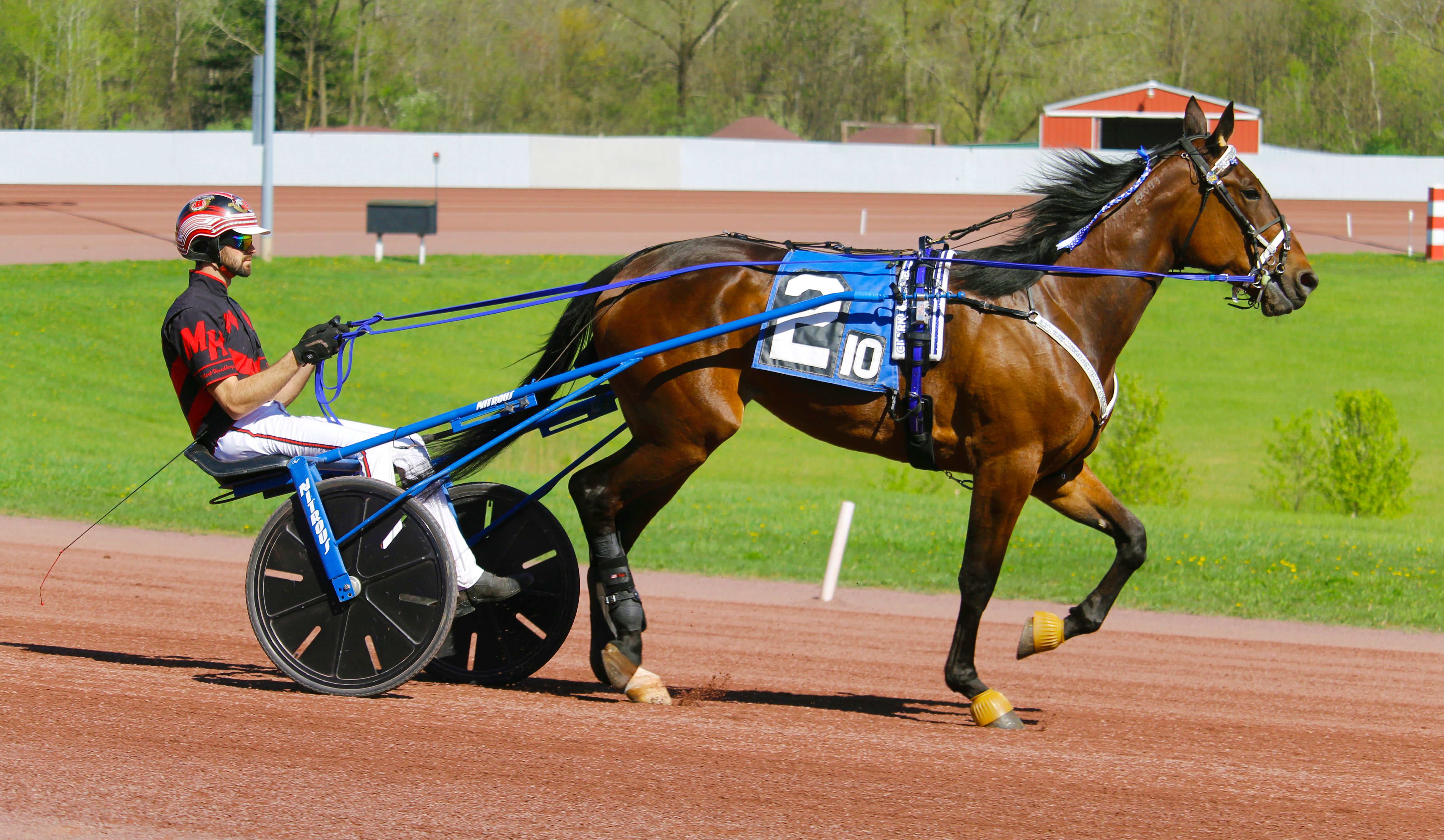 Harness Racing Action with Horse and Driver · Free Stock Photo