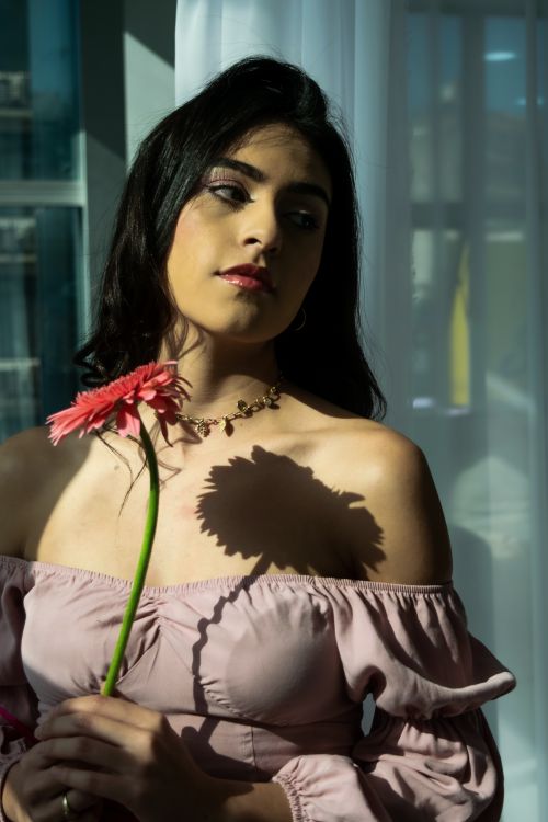 Free Glamorous woman with a pink flower enjoys sunlight indoors, casting a floral shadow. Stock Photo