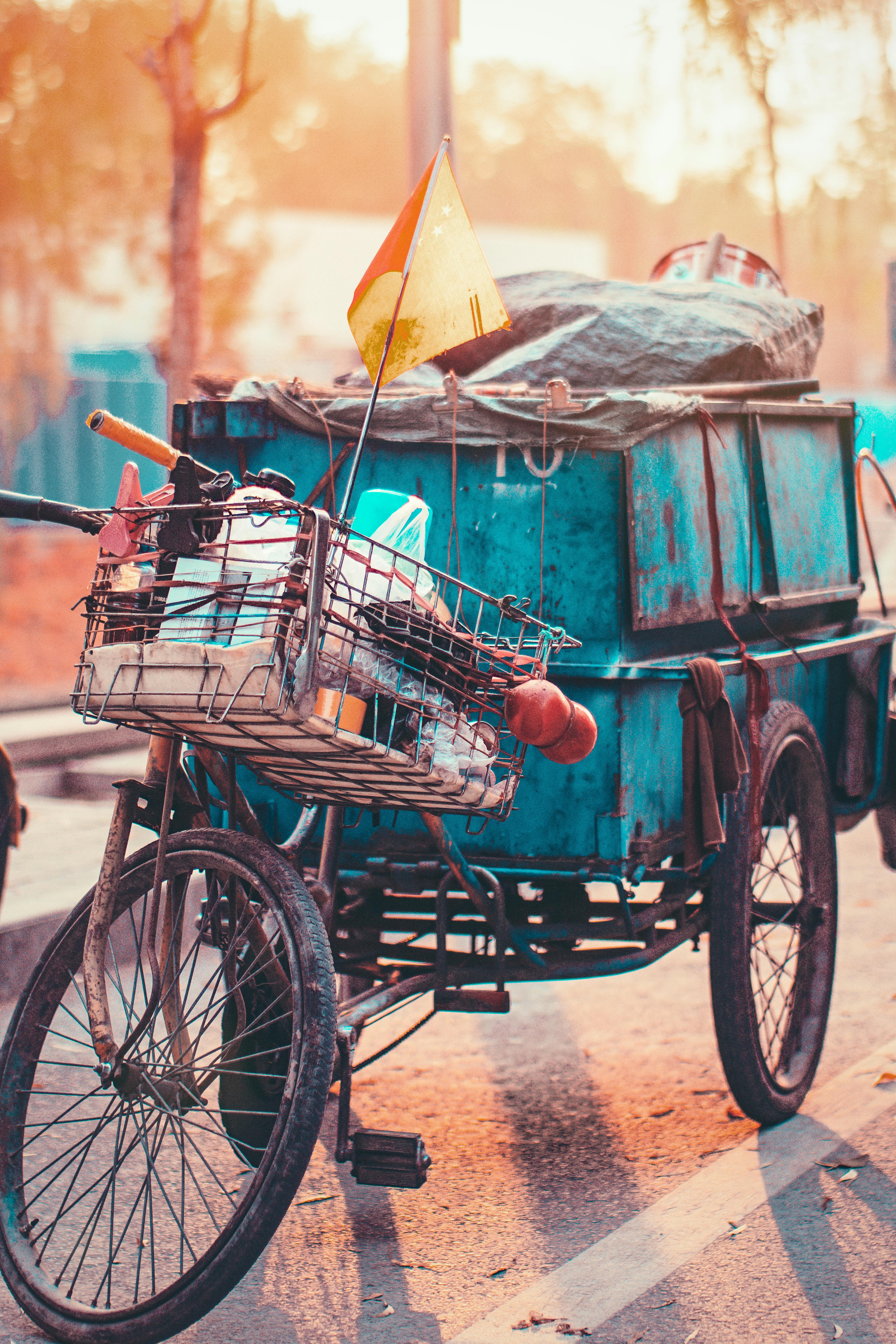 bicycle with flag