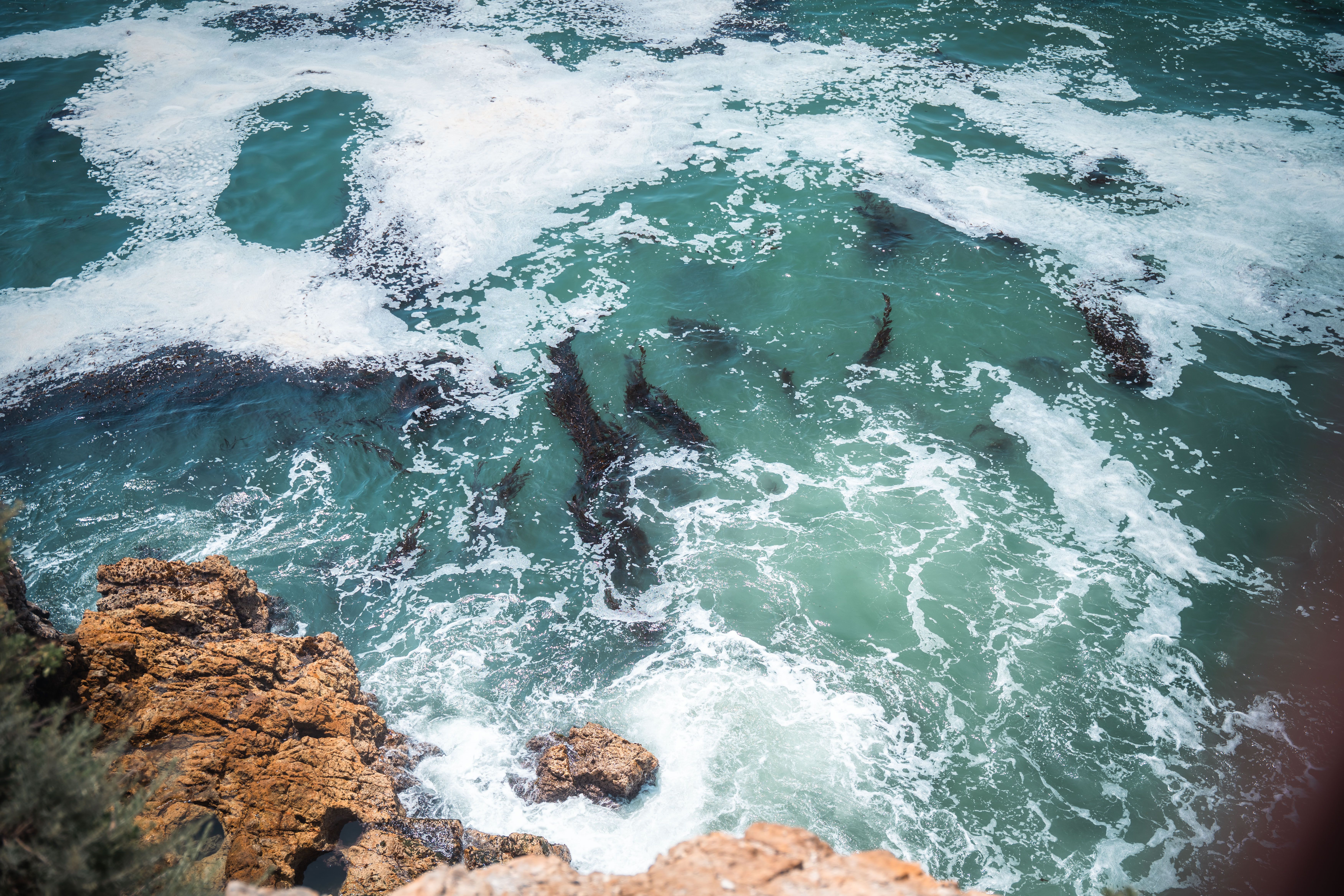 Aerial View of Rocky Ocean Seascape · Free Stock Photo