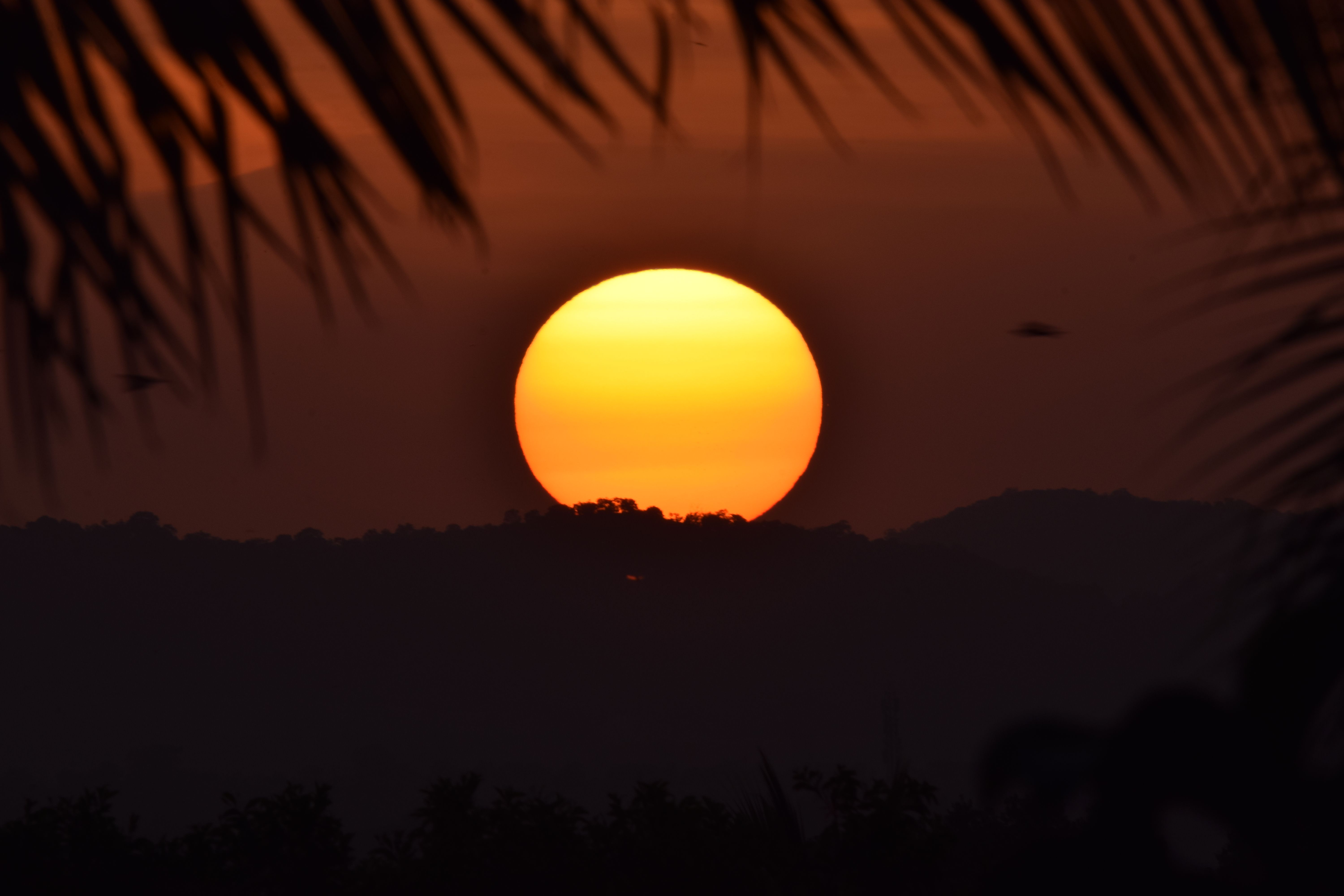 Best Month to Visit Mangalore: Season Guide