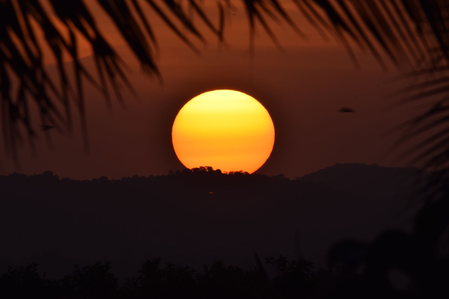 Best Month to Visit Mangalore: Season Guide