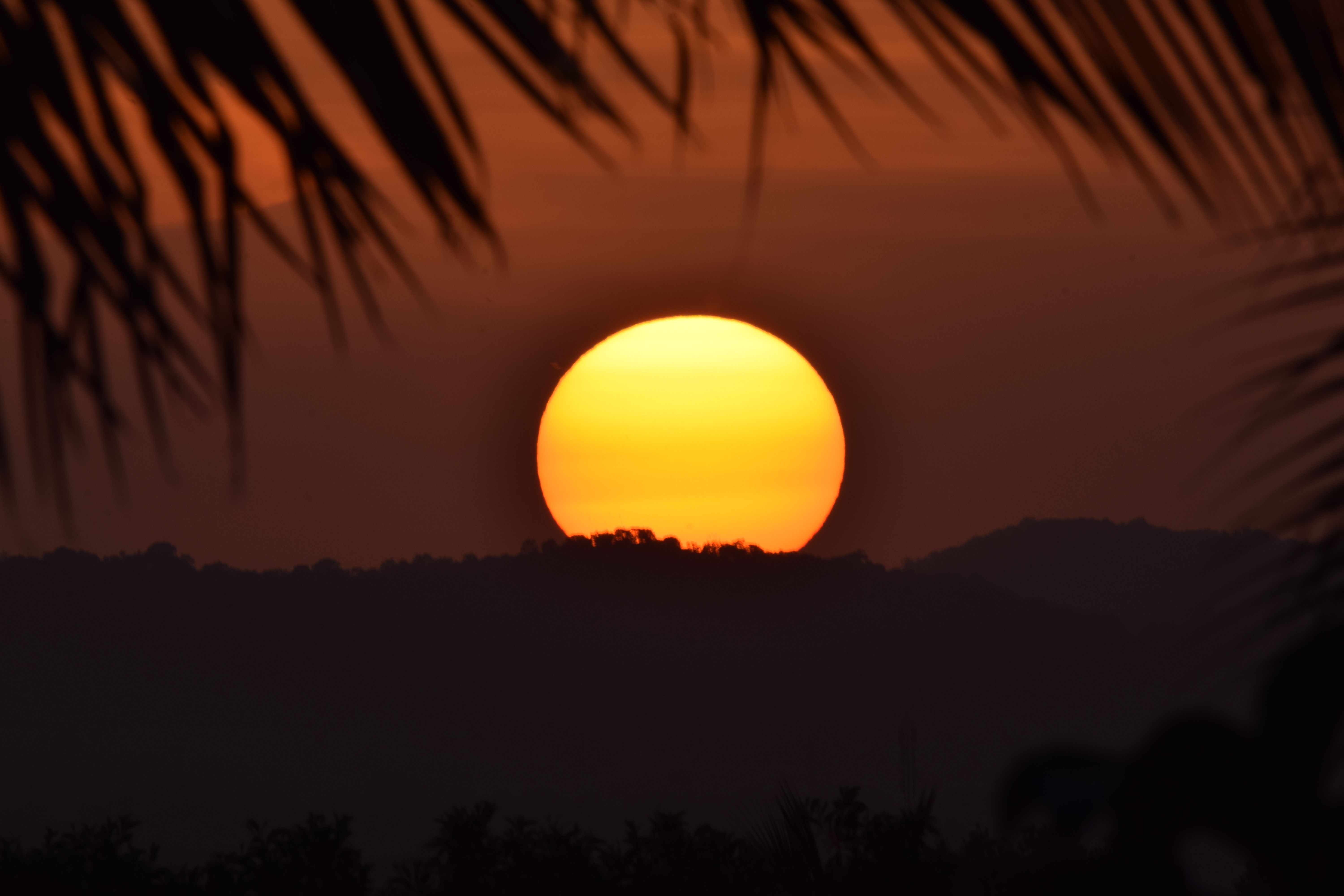 Coorg in Monsoon: What to Expect