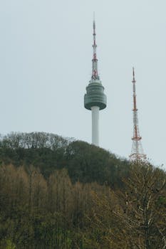 A view of Namsan Tower amidst lush greenery in Seoul, South Korea, capturing the harmony of architecture and nature.