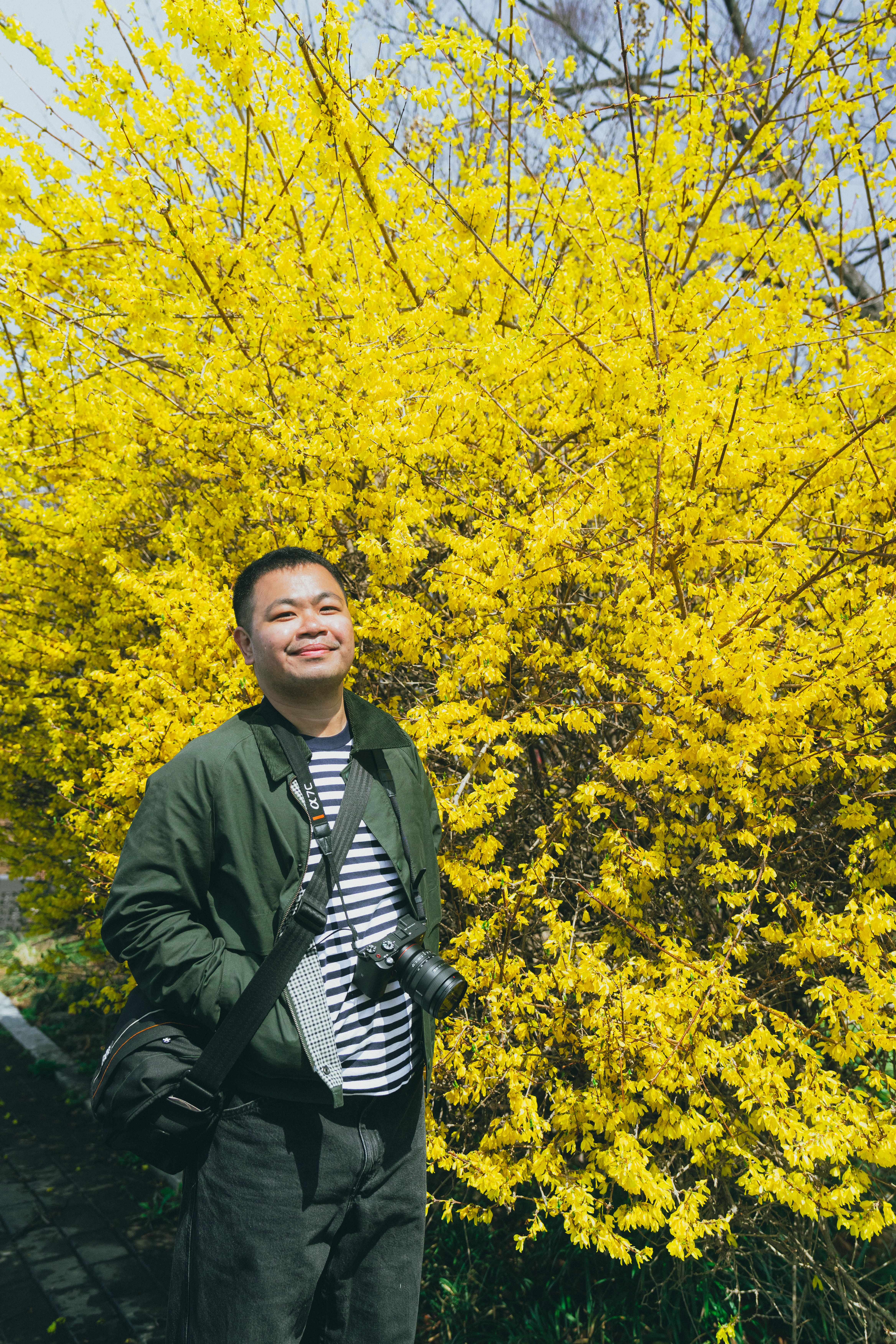 A photographer enjoying a sunny spring day in Seoul, surrounded by vibrant yellow flowers.