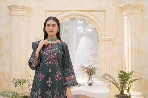 Free Stunning portrait of a woman in traditional Pakistani attire, set in Lahore. Stock Photo