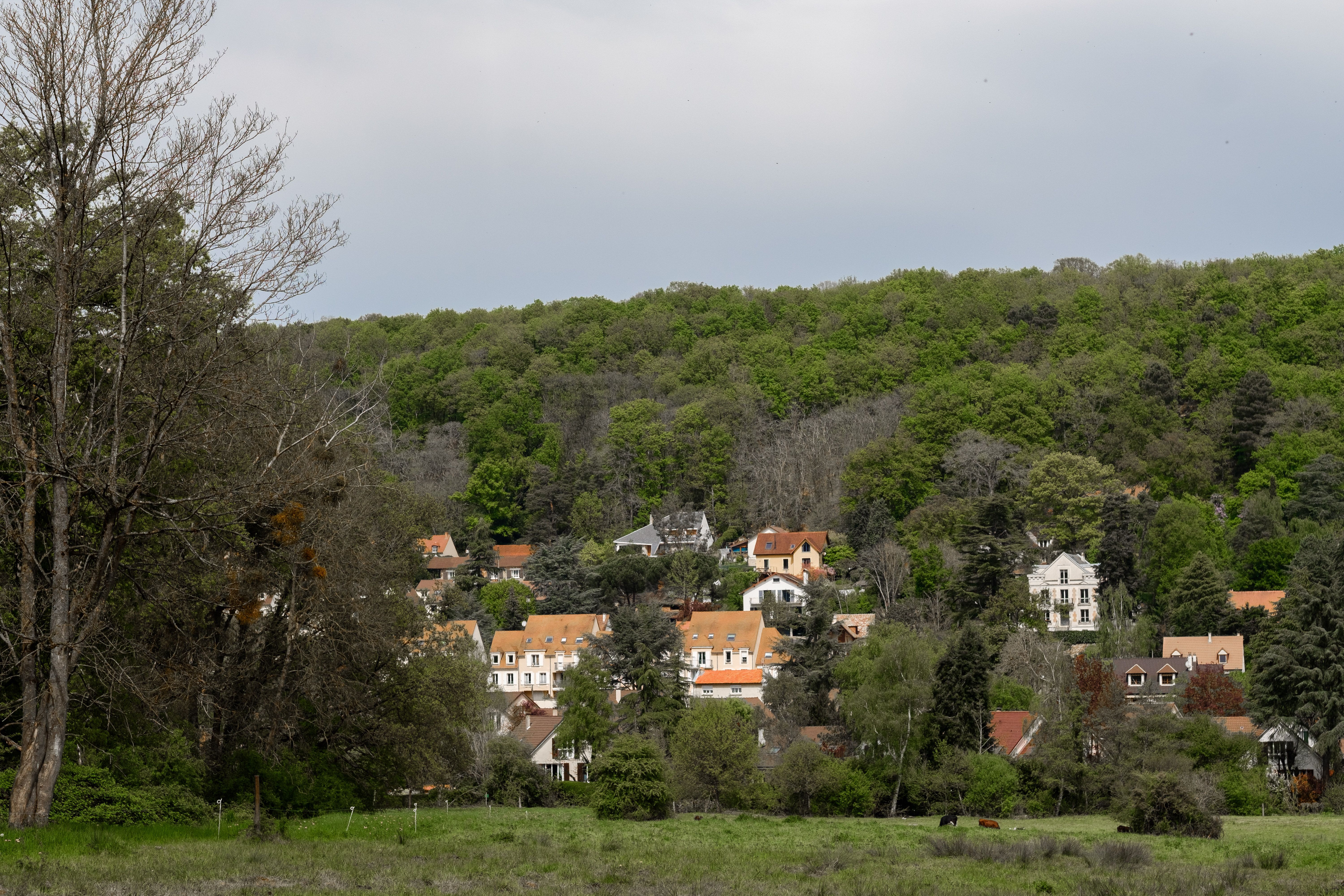 Picturesque view of a village with red rooftops nestled in lush greenery under a cloudy sky.