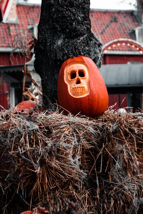 Free Photo Of  Pumpkin On Top Of Hay  Stock Photo