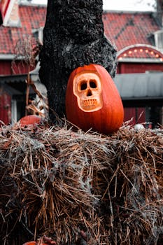 一个雕刻着骷髅图案的南瓜放在干草上，很适合万圣节的氛围