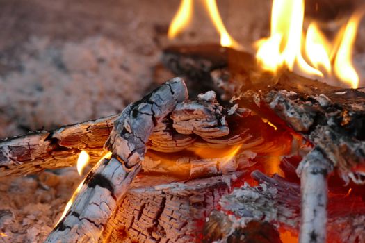 Detailed shot of burning firewood with glowing embers and flames, creating a warm ambiance.