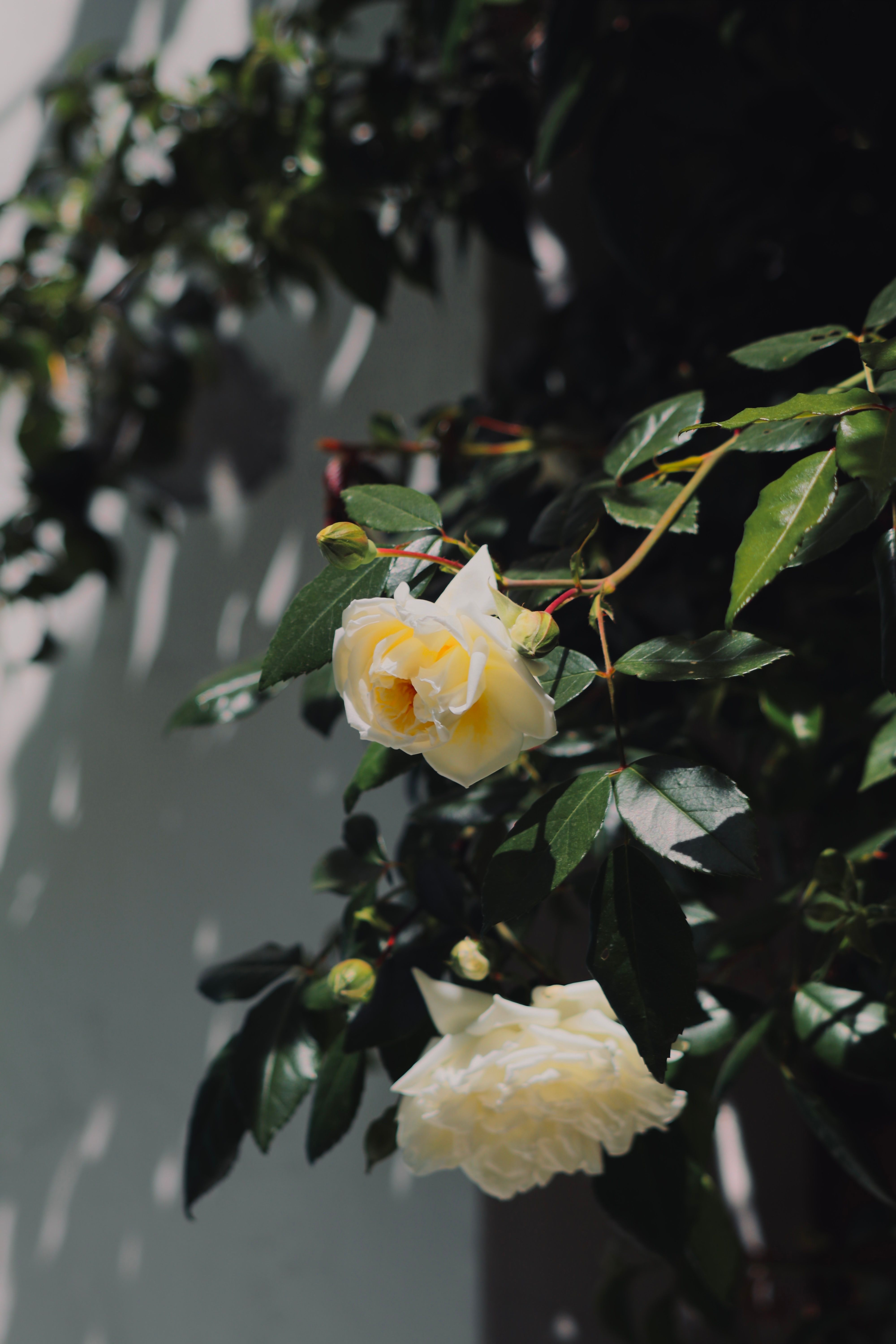 Calming Photos, Download The BEST Free Calming Stock Photos & HD Images