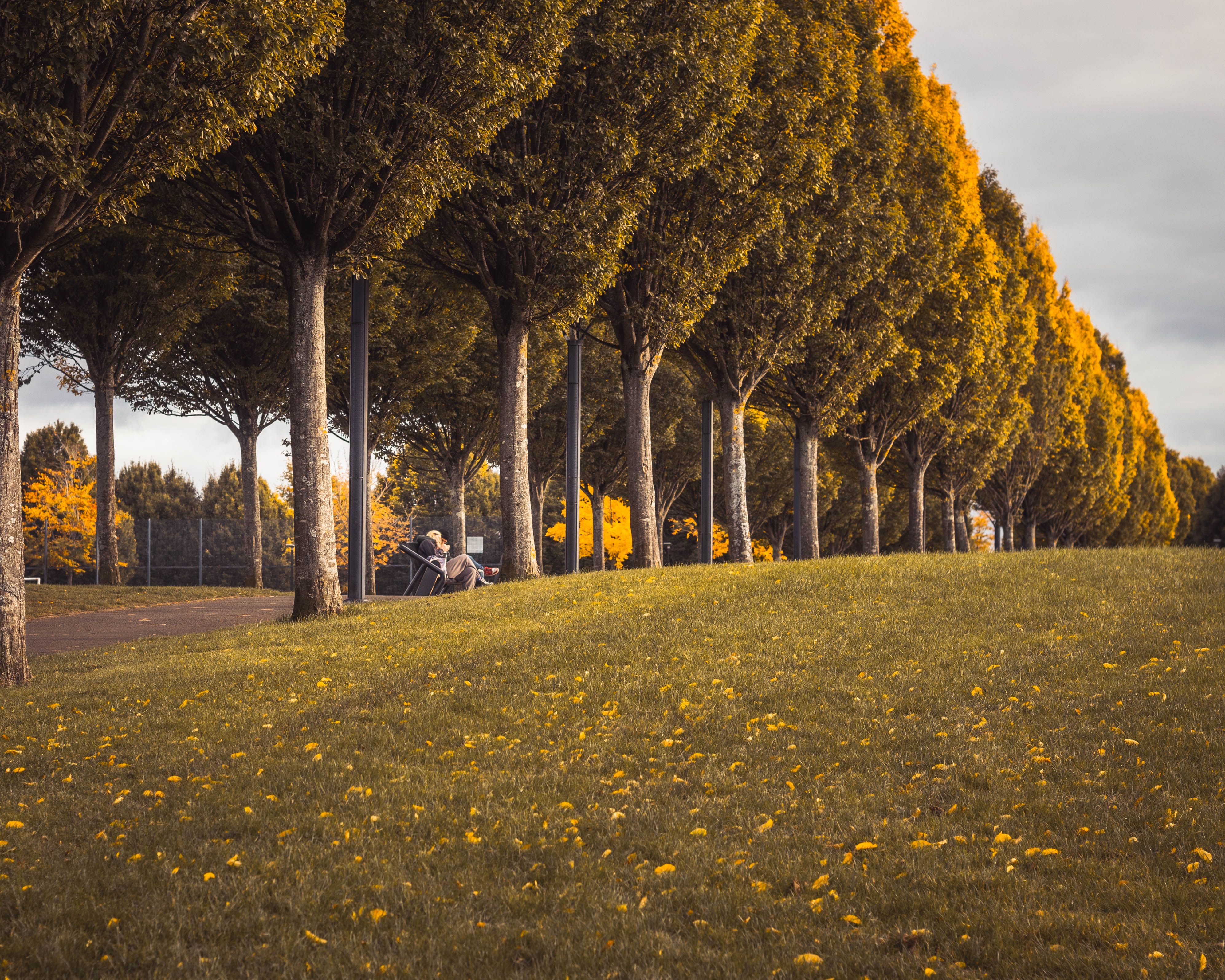Avenue de Champagne