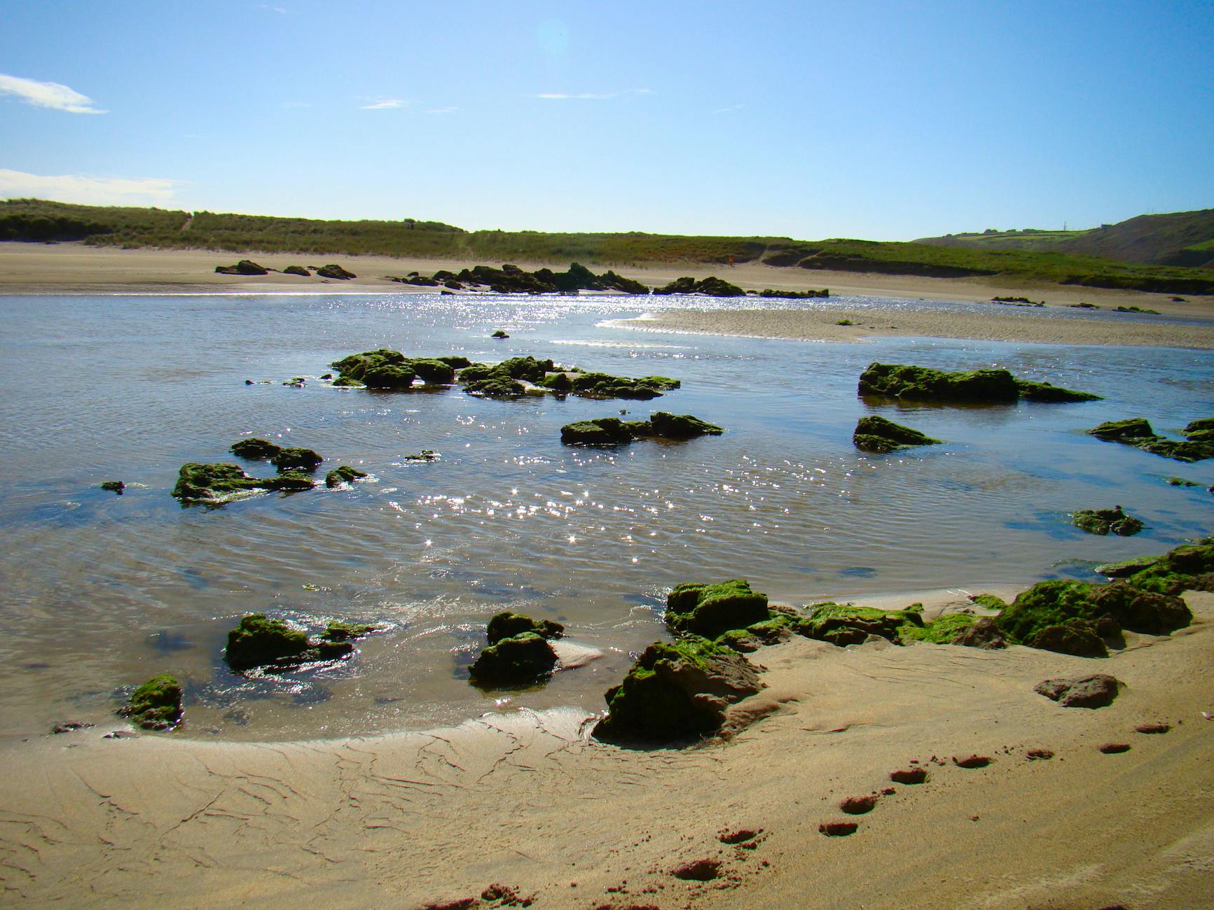 coastal dunes coastal dunes