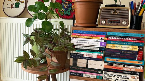 A cozy living space featuring lush plants, a bookshelf with diverse books, and vintage decor.
