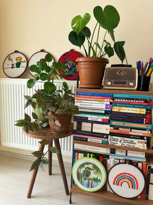 Living space with plants and a bookshelf by Hatice on Pexels