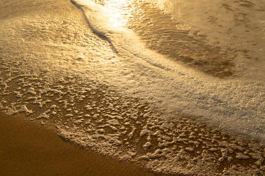 Warm sunlight casts a golden glow on seafoam at Sunshine Coast, Australia, creating peaceful morning reflections.