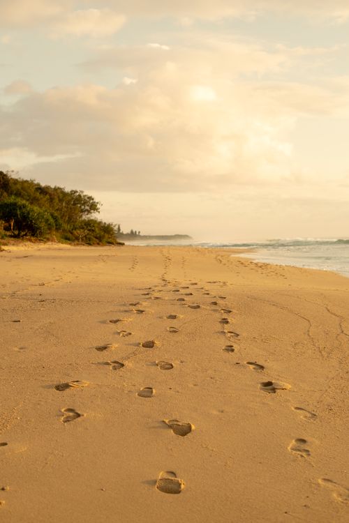 Free Golden footprints on an empty beach at sunrise on the Sunshine Coast, Australia. Stock Photo